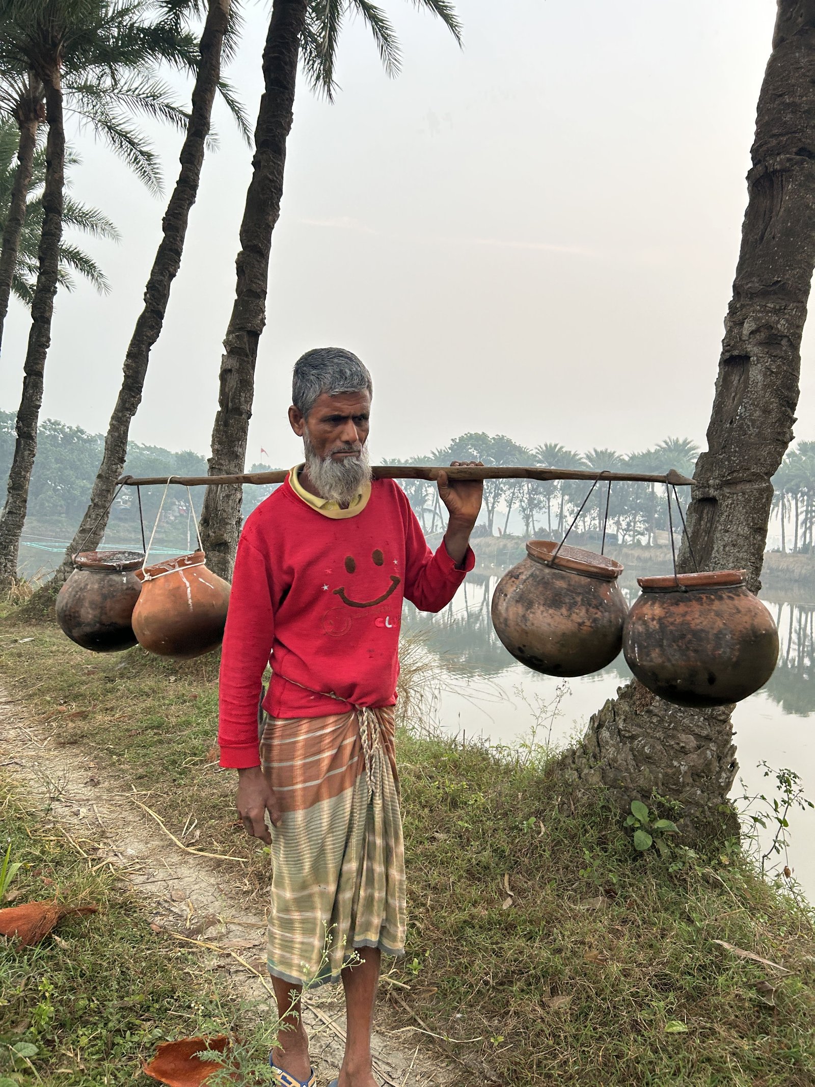 খেজুরের গাছ ও গ্রামীণ পরিবেশ